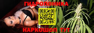 не бодяженный Нальчик