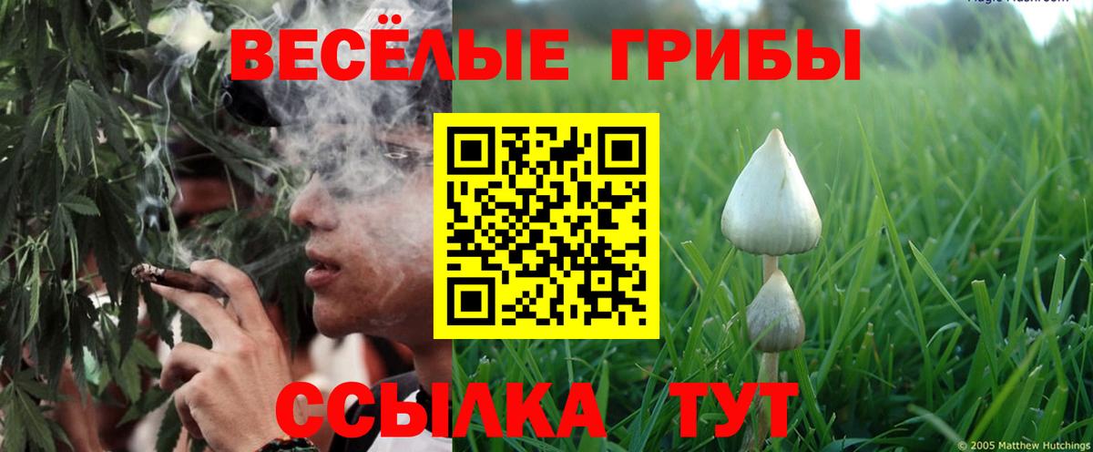 Советский  Галлюциногенные грибы ЛСД  Псилоцибиновые грибы прущие грибы  Вход с VPN 